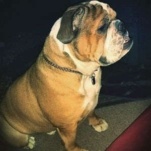 Meet your Posher, Frank